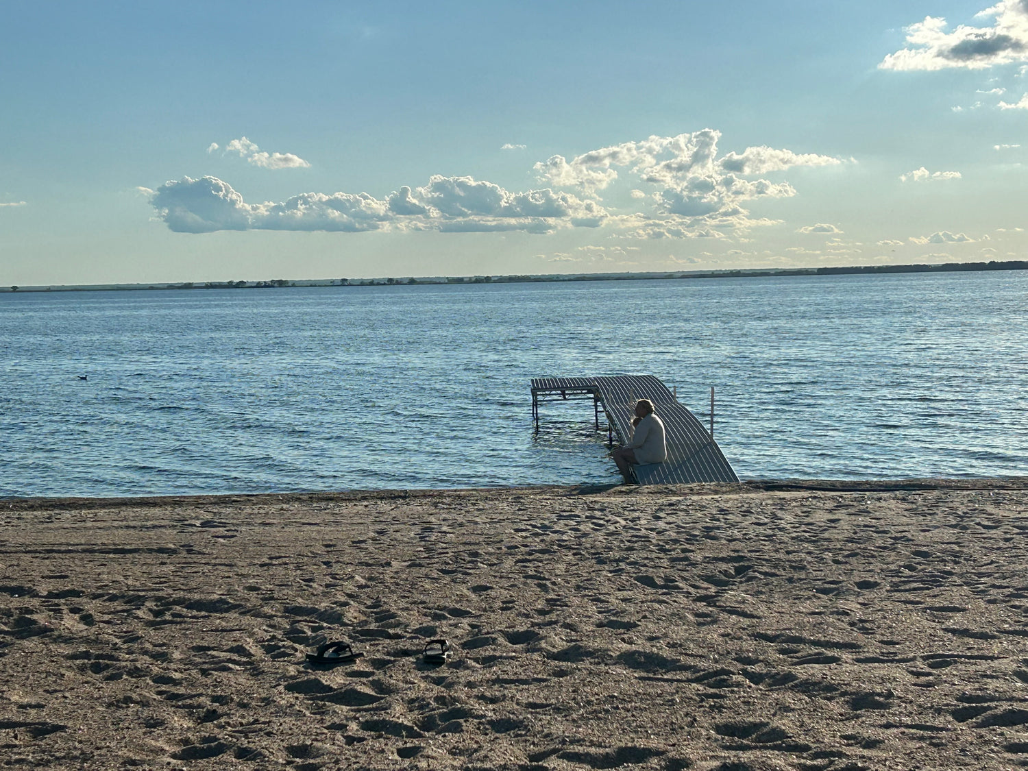 4ft x 42ft Roll-In Dock Package with 4ftx10 patio